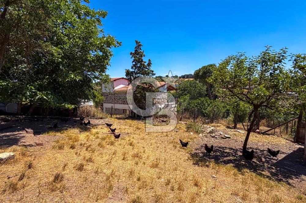 ÇANAKKALE ÇAN DUMAN KÖYÜ KÖYİÇİ SATILIK AVLULU KARGİR EV 