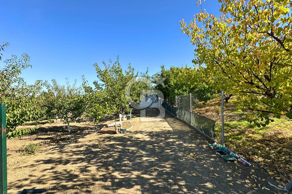 Çanakkale Merkez Yapıldak Boğaz Manzaralı 500m² Yaşam Bahçesi