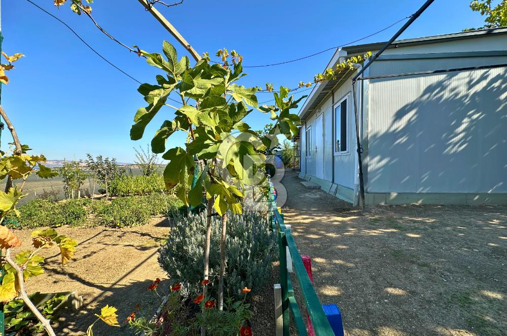 Çanakkale Merkez Yapıldak Boğaz Manzaralı 500m² Yaşam Bahçesi