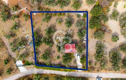 Aliağa Helvacı'da Satılık Müstakil Tapulu Zeytinli Tarla
