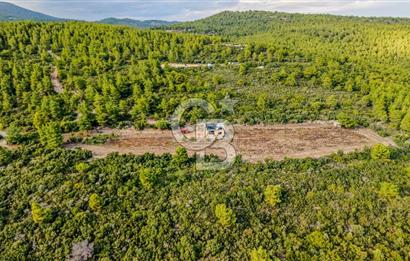 URLA DEMİRCİLİ’DE DENİZ MANZARALI, KOY’A 1 KM MESAFEDE SATILIK VERİMLİ ÜZÜM BAĞI VE BAĞ EVİ