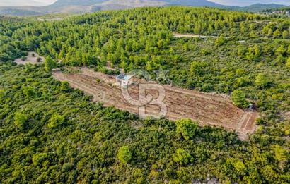URLA DEMİRCİLİ’DE DENİZ MANZARALI, KOY’A 1 KM MESAFEDE SATILIK VERİMLİ ÜZÜM BAĞI VE BAĞ EVİ