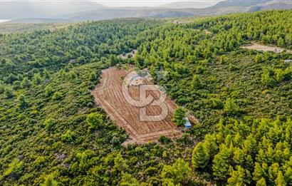 URLA DEMİRCİLİ’DE DENİZ MANZARALI, KOY’A 1 KM MESAFEDE SATILIK VERİMLİ ÜZÜM BAĞI VE BAĞ EVİ