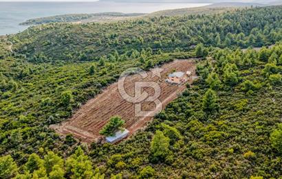 URLA DEMİRCİLİ’DE DENİZ MANZARALI, KOY’A 1 KM MESAFEDE SATILIK VERİMLİ ÜZÜM BAĞI VE BAĞ EVİ