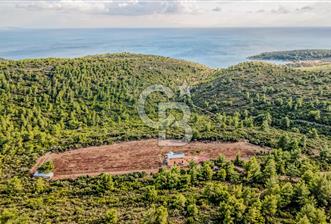 URLA DEMİRCİLİ’DE DENİZ MANZARALI, KOY’A 1 KM MESAFEDE SATILIK VERİMLİ ÜZÜM BAĞI VE BAĞ EVİ - 2 - 377873