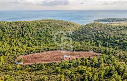 URLA DEMİRCİLİ’DE DENİZ MANZARALI, KOY’A 1 KM MESAFEDE SATILIK VERİMLİ ÜZÜM BAĞI VE BAĞ EVİ