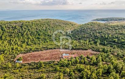 URLA DEMİRCİLİ’DE DENİZ MANZARALI, KOY’A 1 KM MESAFEDE SATILIK VERİMLİ ÜZÜM BAĞI VE BAĞ EVİ