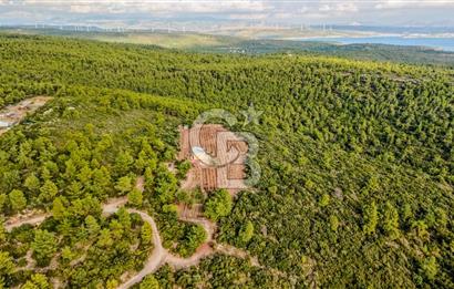 URLA DEMİRCİLİ’DE DENİZ MANZARALI, KOY’A 1 KM MESAFEDE SATILIK VERİMLİ ÜZÜM BAĞI VE BAĞ EVİ