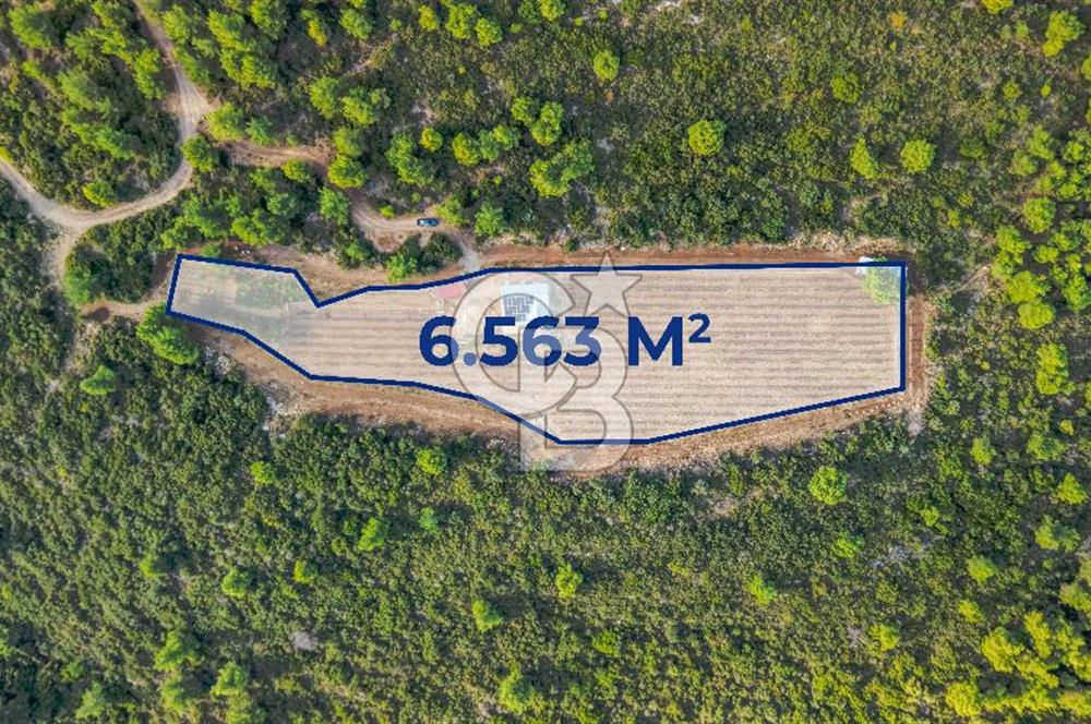 URLA DEMİRCİLİ’DE DENİZ MANZARALI, KOY’A 1 KM MESAFEDE SATILIK VERİMLİ ÜZÜM BAĞI VE BAĞ EVİ