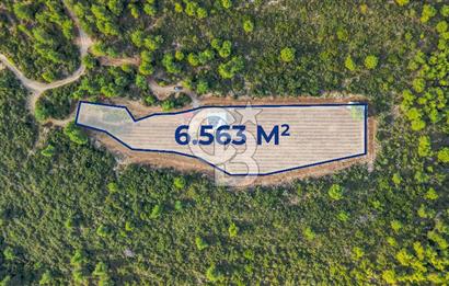 URLA DEMİRCİLİ’DE DENİZ MANZARALI, KOY’A 1 KM MESAFEDE SATILIK VERİMLİ ÜZÜM BAĞI VE BAĞ EVİ