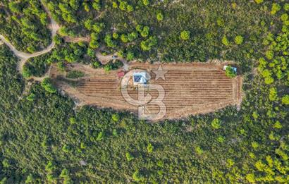 URLA DEMİRCİLİ’DE DENİZ MANZARALI, KOY’A 1 KM MESAFEDE SATILIK VERİMLİ ÜZÜM BAĞI VE BAĞ EVİ