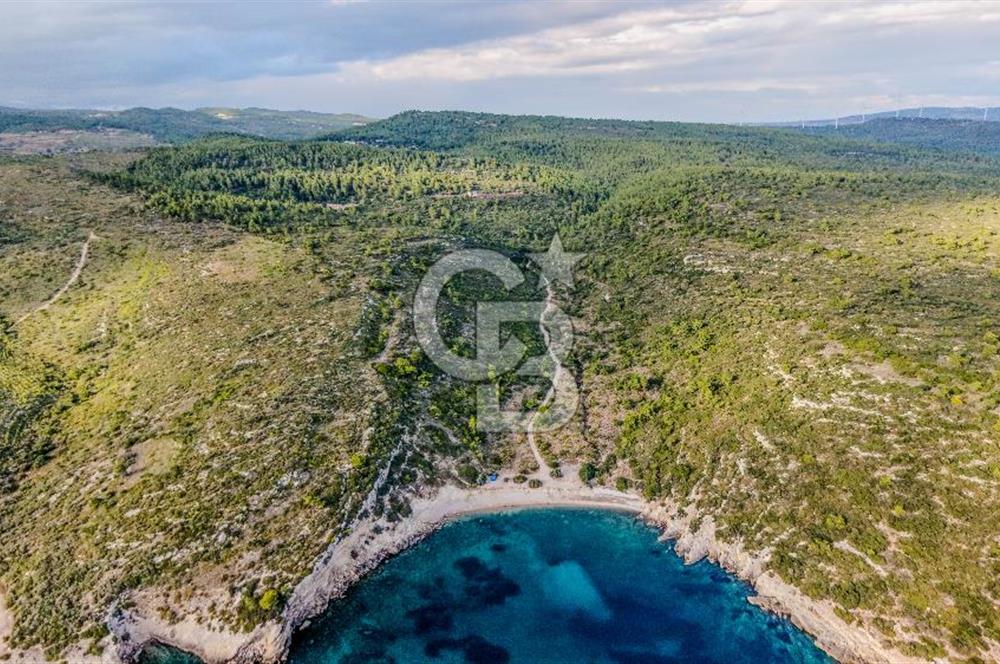 URLA DEMİRCİLİ’DE DENİZ MANZARALI, KOY’A 1 KM MESAFEDE SATILIK VERİMLİ ÜZÜM BAĞI VE BAĞ EVİ
