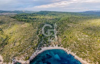 URLA DEMİRCİLİ’DE DENİZ MANZARALI, KOY’A 1 KM MESAFEDE SATILIK VERİMLİ ÜZÜM BAĞI VE BAĞ EVİ