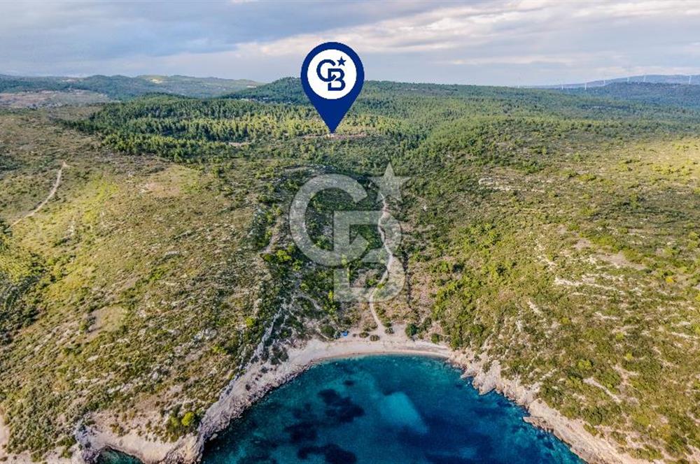 URLA DEMİRCİLİ’DE DENİZ MANZARALI, KOY’A 1 KM MESAFEDE SATILIK VERİMLİ ÜZÜM BAĞI VE BAĞ EVİ