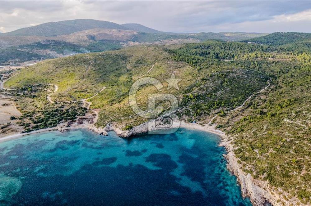 URLA DEMİRCİLİ’DE DENİZ MANZARALI, KOY’A 1 KM MESAFEDE SATILIK VERİMLİ ÜZÜM BAĞI VE BAĞ EVİ