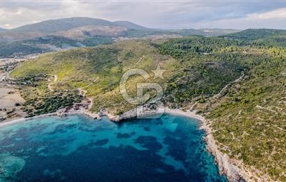 URLA DEMİRCİLİ’DE DENİZ MANZARALI, KOY’A 1 KM MESAFEDE SATILIK VERİMLİ ÜZÜM BAĞI VE BAĞ EVİ