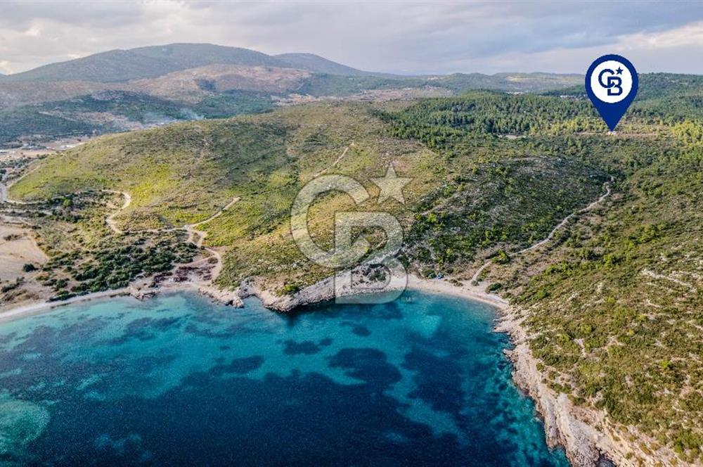 URLA DEMİRCİLİ’DE DENİZ MANZARALI, KOY’A 1 KM MESAFEDE SATILIK VERİMLİ ÜZÜM BAĞI VE BAĞ EVİ