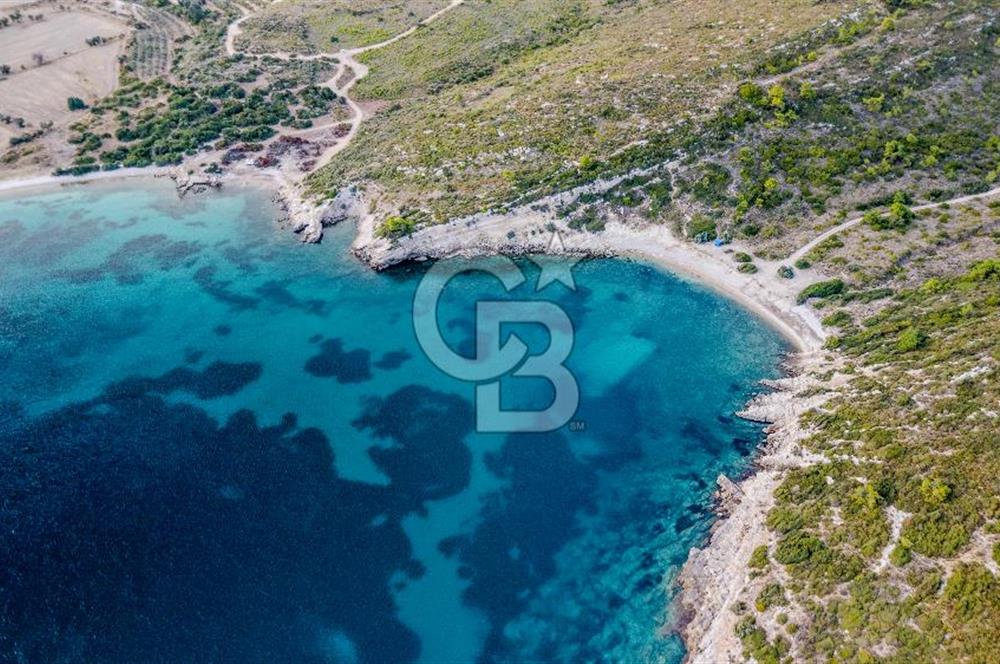 URLA DEMİRCİLİ’DE DENİZ MANZARALI, KOY’A 1 KM MESAFEDE SATILIK VERİMLİ ÜZÜM BAĞI VE BAĞ EVİ