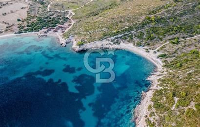 URLA DEMİRCİLİ’DE DENİZ MANZARALI, KOY’A 1 KM MESAFEDE SATILIK VERİMLİ ÜZÜM BAĞI VE BAĞ EVİ