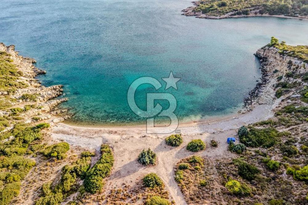 URLA DEMİRCİLİ’DE DENİZ MANZARALI, KOY’A 1 KM MESAFEDE SATILIK VERİMLİ ÜZÜM BAĞI VE BAĞ EVİ