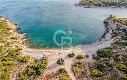 URLA DEMİRCİLİ’DE DENİZ MANZARALI, KOY’A 1 KM MESAFEDE SATILIK VERİMLİ ÜZÜM BAĞI VE BAĞ EVİ