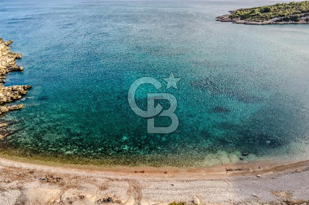 URLA DEMİRCİLİ’DE DENİZ MANZARALI, KOY’A 1 KM MESAFEDE SATILIK VERİMLİ ÜZÜM BAĞI VE BAĞ EVİ