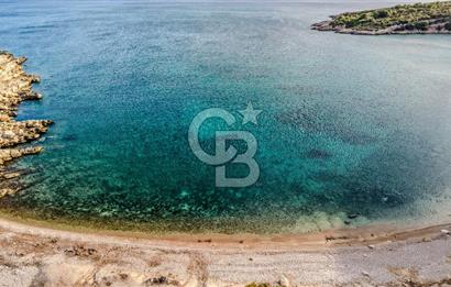 URLA DEMİRCİLİ’DE DENİZ MANZARALI, KOY’A 1 KM MESAFEDE SATILIK VERİMLİ ÜZÜM BAĞI VE BAĞ EVİ