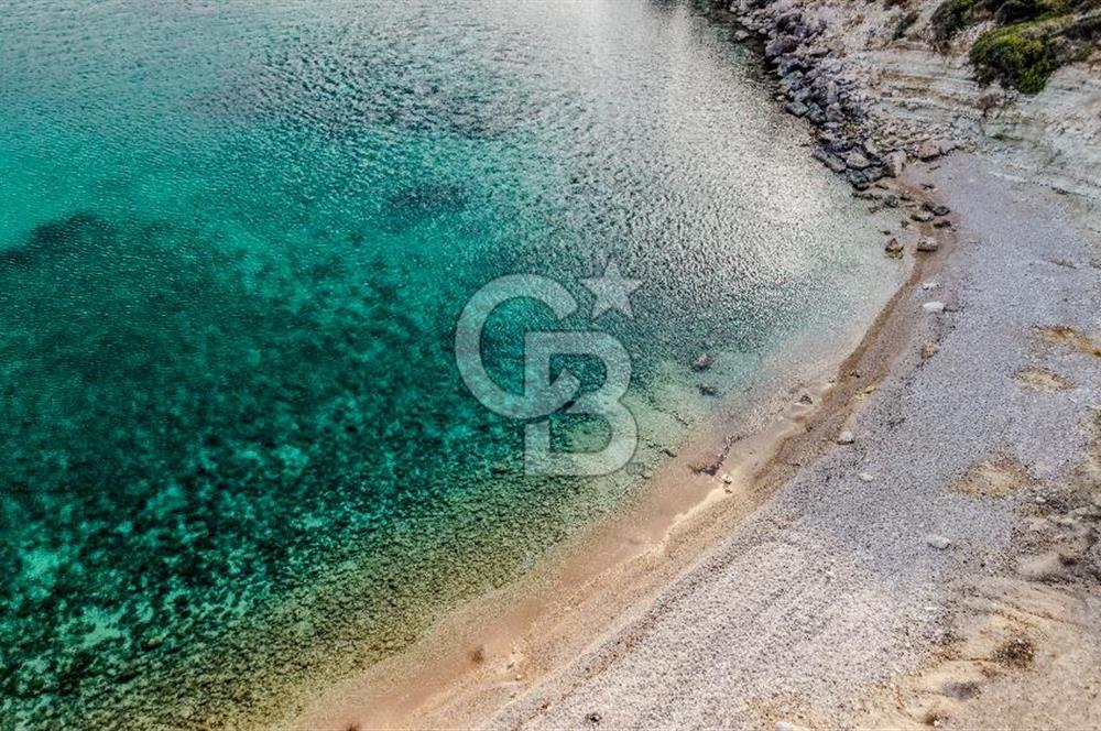 URLA DEMİRCİLİ’DE DENİZ MANZARALI, KOY’A 1 KM MESAFEDE SATILIK VERİMLİ ÜZÜM BAĞI VE BAĞ EVİ