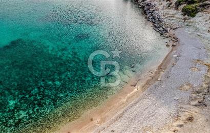 URLA DEMİRCİLİ’DE DENİZ MANZARALI, KOY’A 1 KM MESAFEDE SATILIK VERİMLİ ÜZÜM BAĞI VE BAĞ EVİ