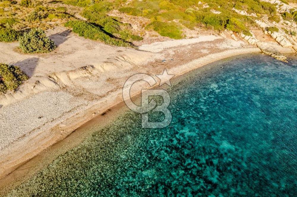 URLA DEMİRCİLİ’DE DENİZ MANZARALI, KOY’A 1 KM MESAFEDE SATILIK VERİMLİ ÜZÜM BAĞI VE BAĞ EVİ