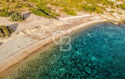 URLA DEMİRCİLİ’DE DENİZ MANZARALI, KOY’A 1 KM MESAFEDE SATILIK VERİMLİ ÜZÜM BAĞI VE BAĞ EVİ