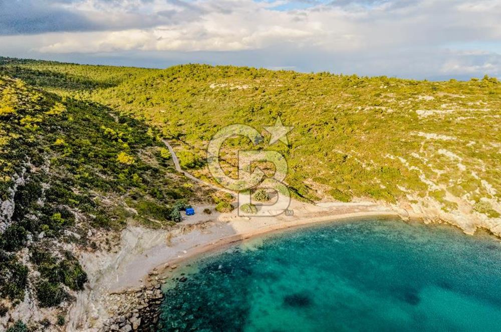 URLA DEMİRCİLİ’DE DENİZ MANZARALI, KOY’A 1 KM MESAFEDE SATILIK VERİMLİ ÜZÜM BAĞI VE BAĞ EVİ