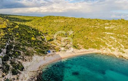 URLA DEMİRCİLİ’DE DENİZ MANZARALI, KOY’A 1 KM MESAFEDE SATILIK VERİMLİ ÜZÜM BAĞI VE BAĞ EVİ