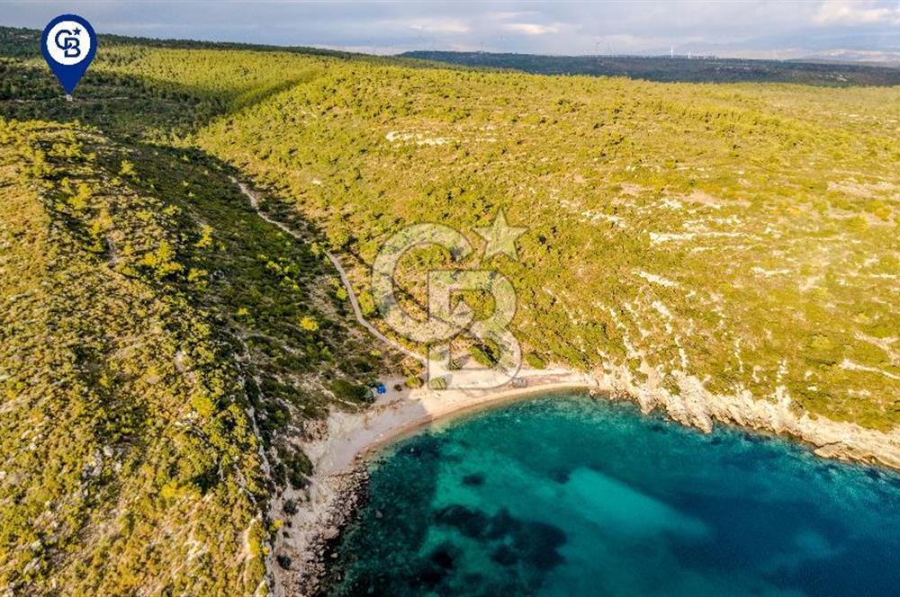 URLA DEMİRCİLİ’DE DENİZ MANZARALI, KOY’A 1 KM MESAFEDE SATILIK VERİMLİ ÜZÜM BAĞI VE BAĞ EVİ