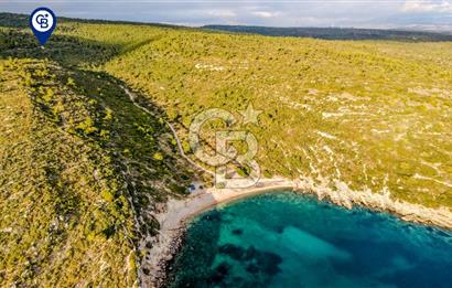 URLA DEMİRCİLİ’DE DENİZ MANZARALI, KOY’A 1 KM MESAFEDE SATILIK VERİMLİ ÜZÜM BAĞI VE BAĞ EVİ