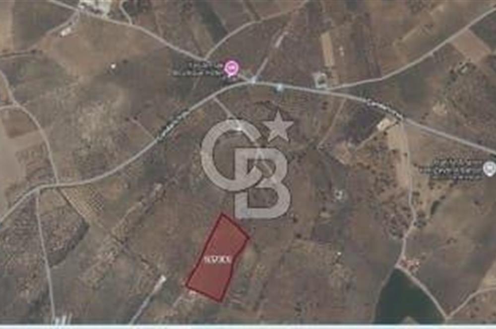 Çandarlı'da Kaçırılmayacak Yatırım!Denize ve Merkeze Yakın600M²