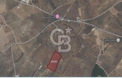 Çandarlı'da Kaçırılmayacak Yatırım!Denize ve Merkeze Yakın600M²