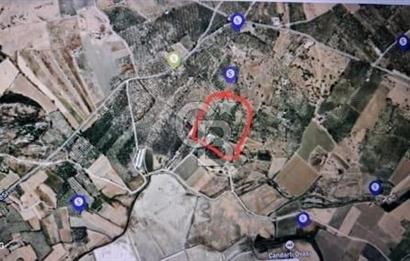 Çandarlı'da Kaçırılmayacak Yatırım!Denize ve Merkeze Yakın600M²