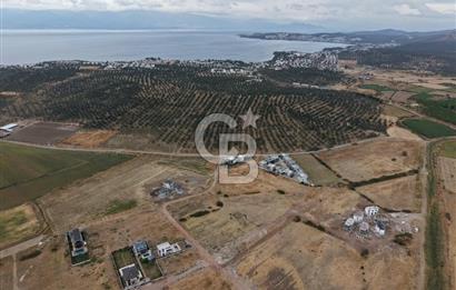 3 PARSEL BİRLİKTE SATILIK | 1.125 m² | 15/30 VİLLA İMARLI