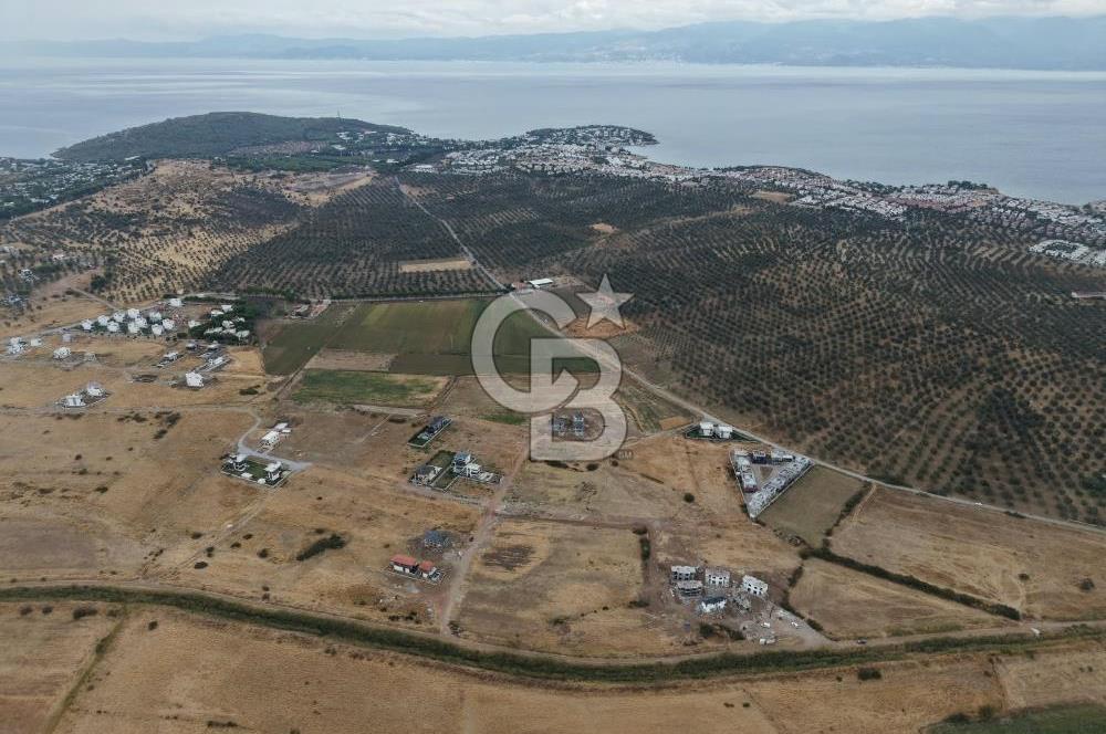 3 PARSEL BİRLİKTE SATILIK | 1.125 m² | 15/30 VİLLA İMARLI