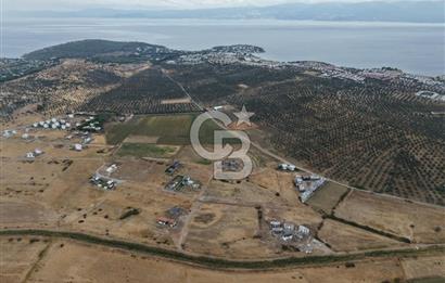 3 PARSEL BİRLİKTE SATILIK | 1.125 m² | 15/30 VİLLA İMARLI