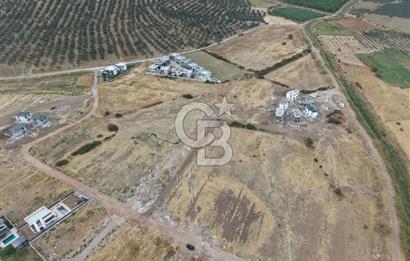 3 PARSEL BİRLİKTE SATILIK | 1.125 m² | 15/30 VİLLA İMARLI