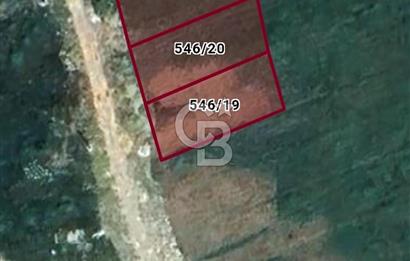 3 PARSEL BİRLİKTE SATILIK | 1.125 m² | 15/30 VİLLA İMARLI