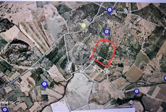 Çandarlı'da Kaçırılmayacak Yatırım!Denize ve Merkeze Yakın600M² - 1 - 377871
