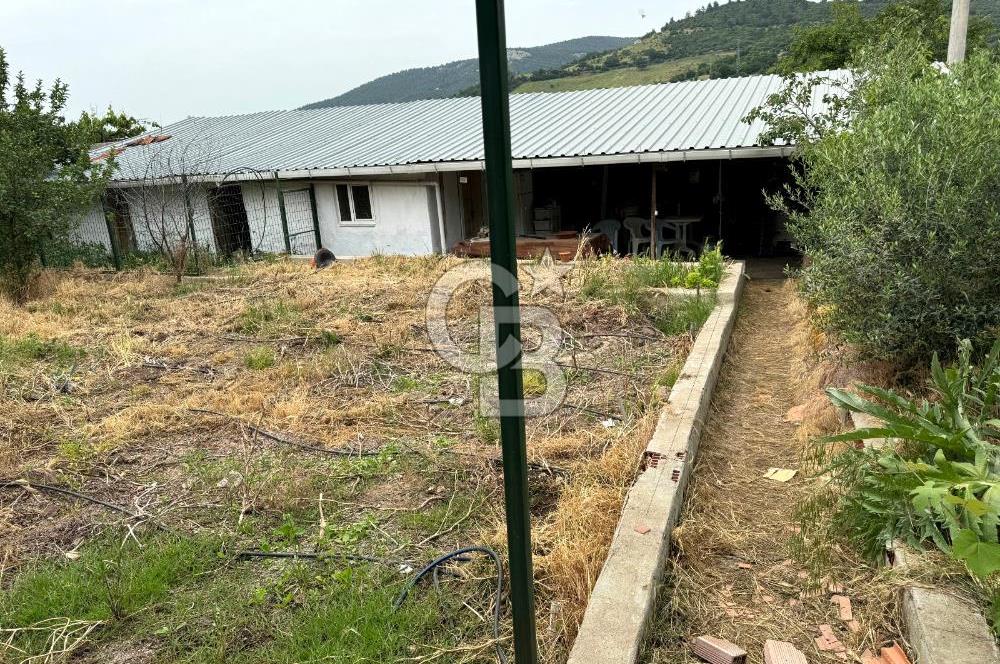Çanakkale Merkez Serçiler Köyü Satılık Ev Arsa ve Ticari Alan