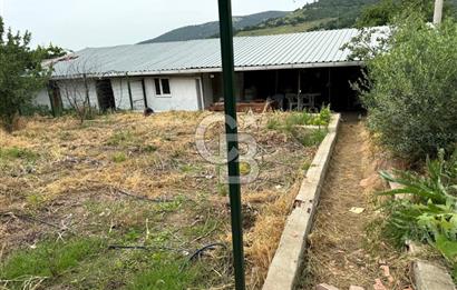 Çanakkale Merkez Serçiler Köyü Satılık Ev Arsa ve Ticari Alan