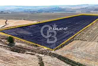 SİLİVRİ ALİPAŞA' DA SATILIK 27.646 m² BÜYÜK ÖLÇEKLİ ARAZİ - 1 - 377961