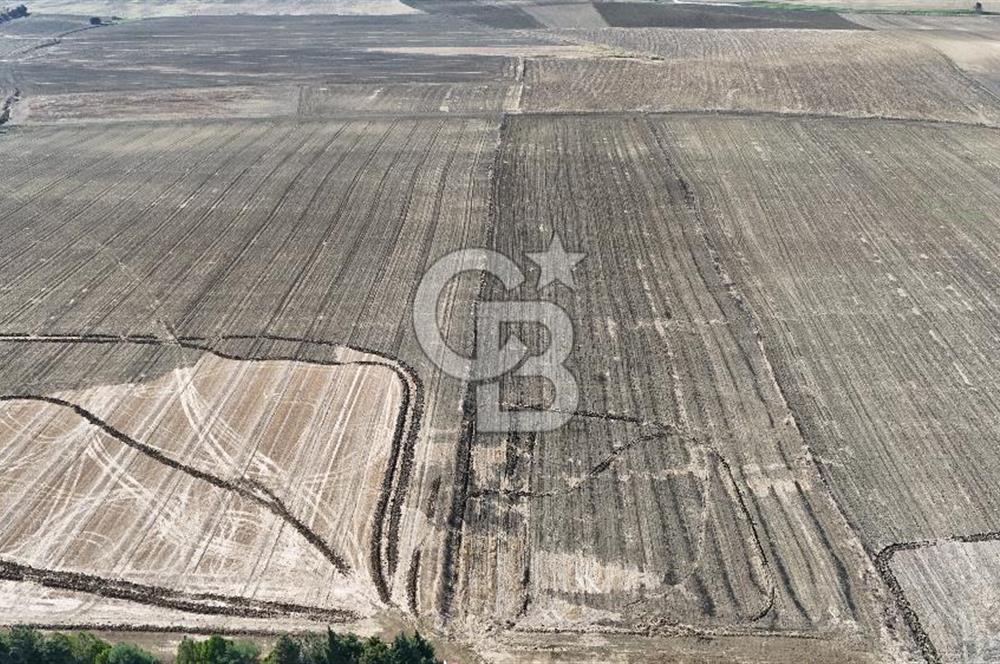 SİLİVRİ ALİPAŞA' DA SATILIK 27.646 m² BÜYÜK ÖLÇEKLİ ARAZİ