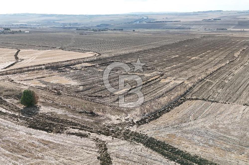 SİLİVRİ ALİPAŞA' DA SATILIK 27.646 m² BÜYÜK ÖLÇEKLİ ARAZİ