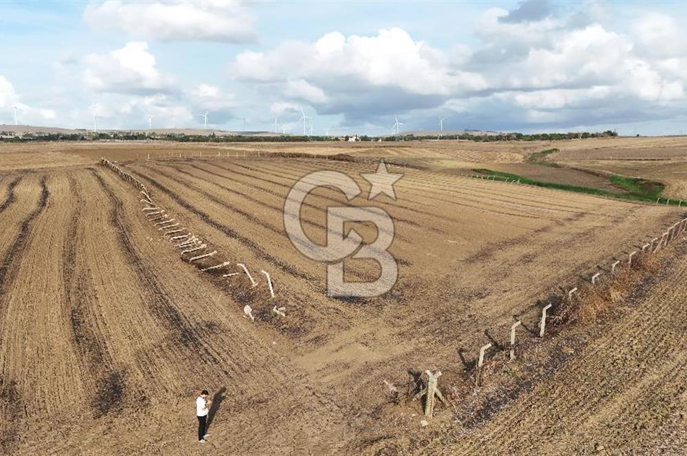 SİLİVRİ YENİ MAHALLEDE 18.319 M² FENERKÖY YAKINI SATILIK TARLA